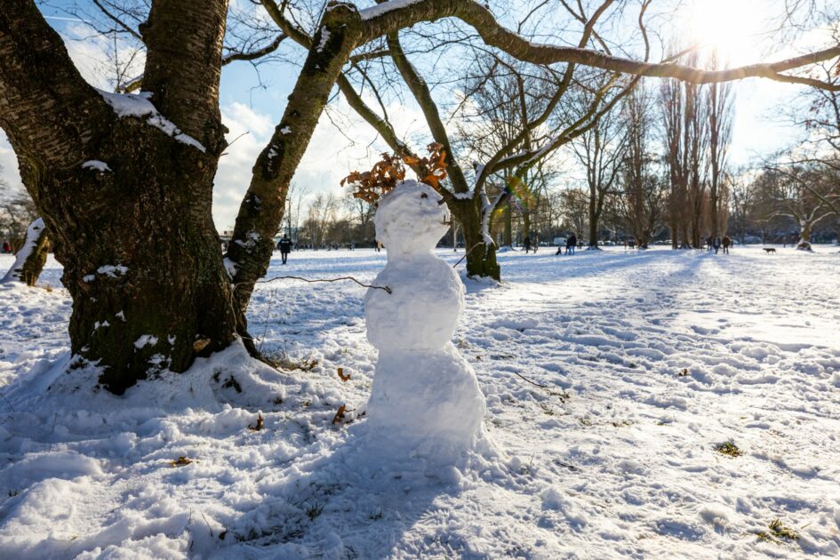 Ein Bild einer Winterlandschaft mit einem Baum im Hintergrund und einem Schneemann im Fokus des Bildes.